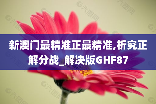 新澳门最精准正最精准,析究正解分战_解决版GHF87