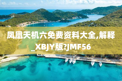 凤凰天机六免费资料大全,解释_XBJY版?JMF56