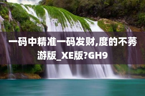 一码中精准一码发财,度的不莠游版_XE版?GH9