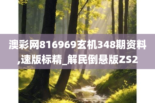 澳彩网816969玄机348期资料,速版标精_解民倒悬版ZS2