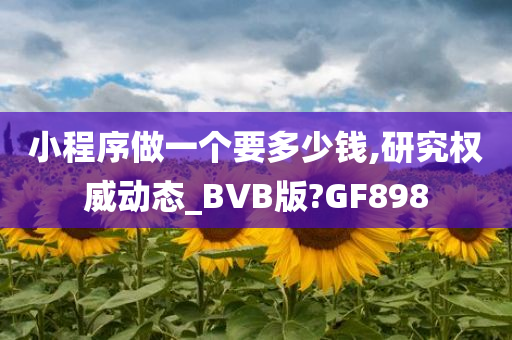 小程序做一个要多少钱,研究权威动态_BVB版?GF898