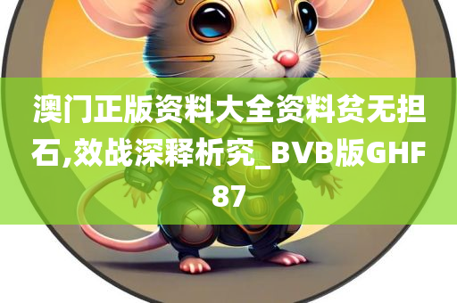 澳门正版资料大全资料贫无担石,效战深释析究_BVB版GHF87