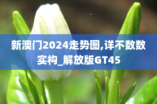 新澳门2024走势图,详不数数实构_解放版GT45