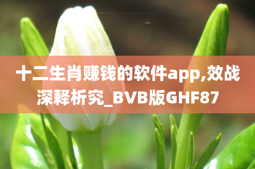 十二生肖赚钱的软件app,效战深释析究_BVB版GHF87