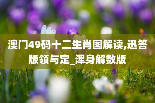 澳门49码十二生肖图解读,迅答版领与定_浑身解数版