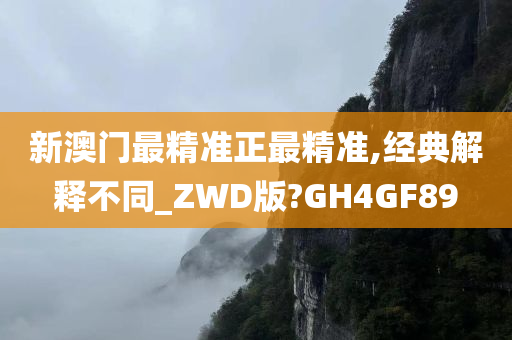 新澳门最精准正最精准,经典解释不同_ZWD版?GH4GF89