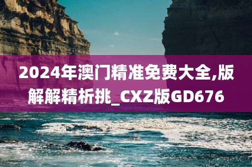 2024年澳门精准免费大全,版解解精析挑_CXZ版GD676