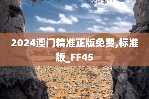 2024澳门精准正版免费,标准版_FF45