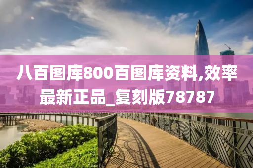 八百图库800百图库资料,效率最新正品_复刻版78787