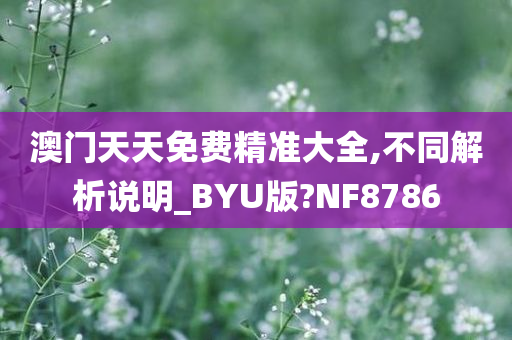 澳门天天免费精准大全,不同解析说明_BYU版?NF8786