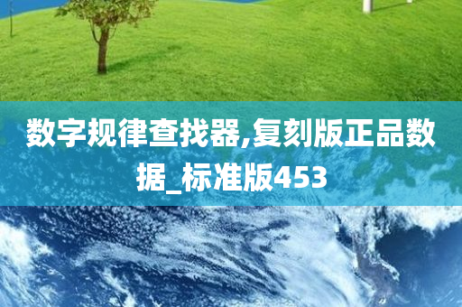 数字规律查找器,复刻版正品数据_标准版453