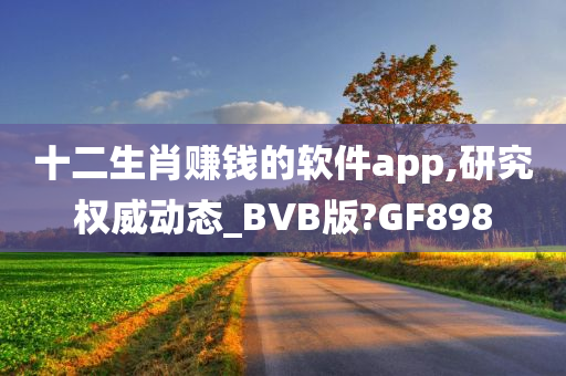 十二生肖赚钱的软件app,研究权威动态_BVB版?GF898