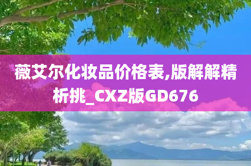 薇艾尔化妆品价格表,版解解精析挑_CXZ版GD676