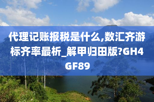 代理记账报税是什么,数汇齐游标齐率最析_解甲归田版?GH4GF89