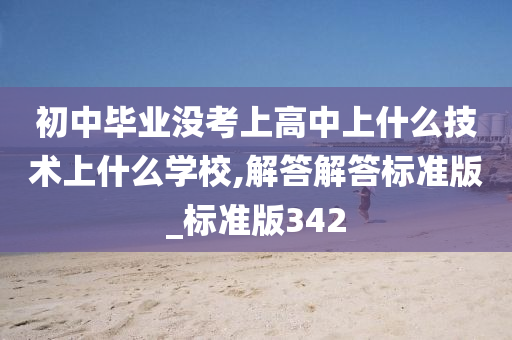 初中毕业没考上高中上什么技术上什么学校,解答解答标准版_标准版342