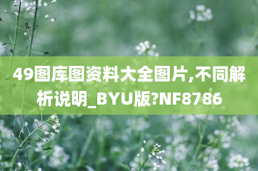 49图库图资料大全图片,不同解析说明_BYU版?NF8786