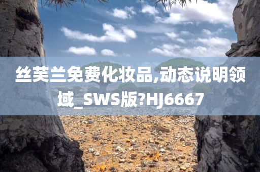 丝芙兰免费化妆品,动态说明领域_SWS版?HJ6667