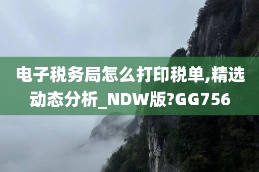 电子税务局怎么打印税单,精选动态分析_NDW版?GG756