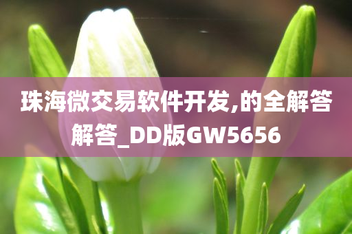 珠海微交易软件开发,的全解答解答_DD版GW5656