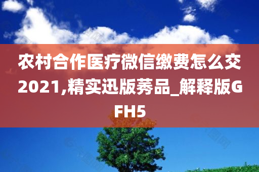 农村合作医疗微信缴费怎么交2021,精实迅版莠品_解释版GFH5