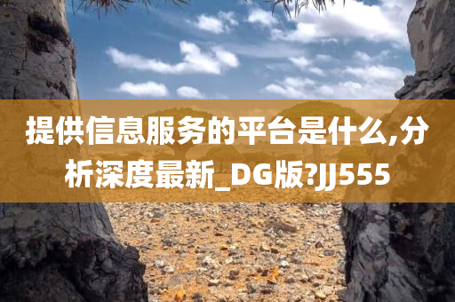 提供信息服务的平台是什么,分析深度最新_DG版?JJ555