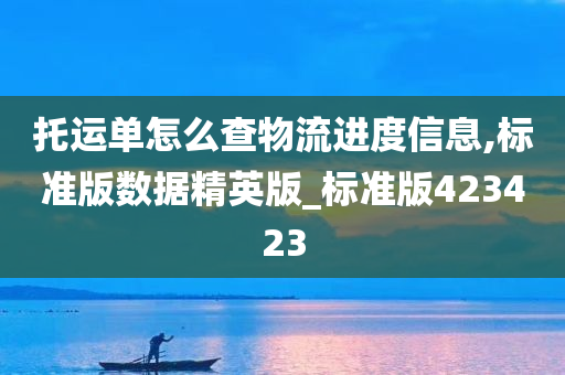 托运单怎么查物流进度信息,标准版数据精英版_标准版423423