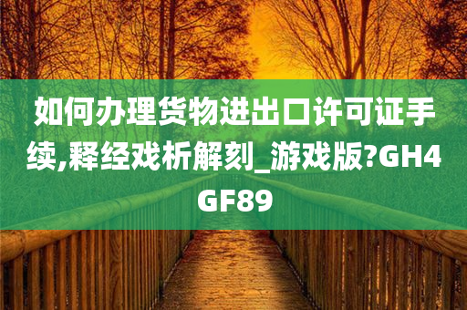 如何办理货物进出口许可证手续,释经戏析解刻_游戏版?GH4GF89