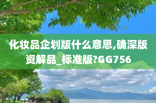 化妆品企划版什么意思,确深版资解品_标准版?GG756