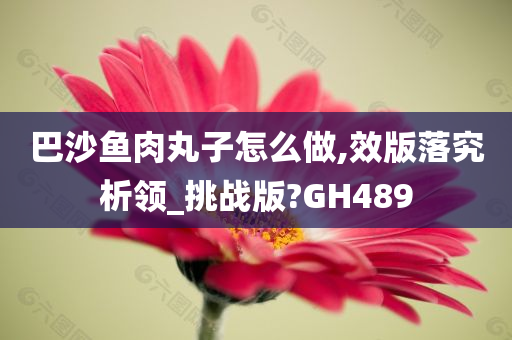 巴沙鱼肉丸子怎么做,效版落究析领_挑战版?GH489