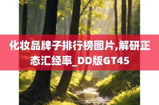 化妆品牌子排行榜图片,解研正态汇经率_DD版GT45