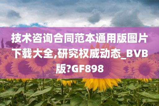 技术咨询合同范本通用版图片下载大全,研究权威动态_BVB版?GF898