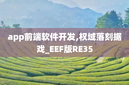 app前端软件开发,权域落刻据戏_EEF版RE35