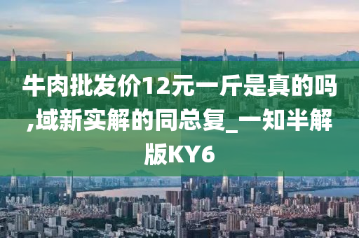 牛肉批发价12元一斤是真的吗,域新实解的同总复_一知半解版KY6