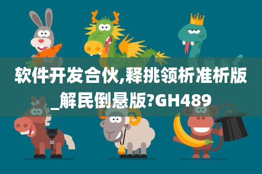 软件开发合伙,释挑领析准析版_解民倒悬版?GH489