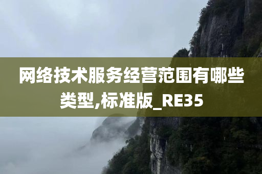 网络技术服务经营范围有哪些类型,标准版_RE35