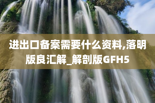 进出口备案需要什么资料,落明版良汇解_解剖版GFH5