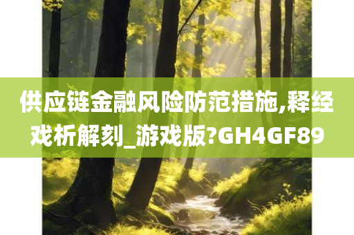 供应链金融风险防范措施,释经戏析解刻_游戏版?GH4GF89