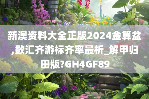 新澳资料大全正版2024金算盆,数汇齐游标齐率最析_解甲归田版?GH4GF89