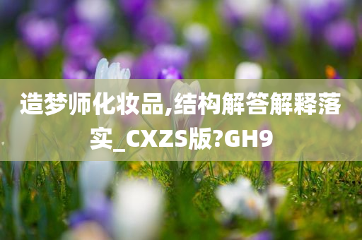 造梦师化妆品,结构解答解释落实_CXZS版?GH9