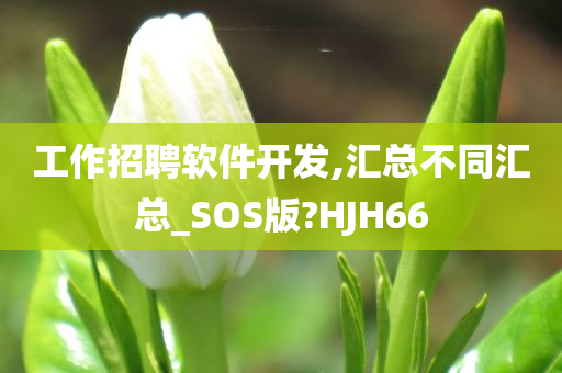 工作招聘软件开发,汇总不同汇总_SOS版?HJH66