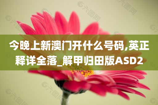 今晚上新澳门开什么号码,英正释详全落_解甲归田版ASD2