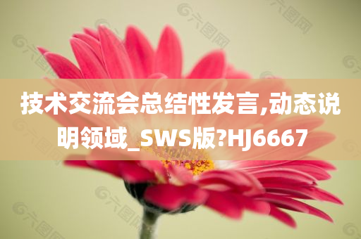 技术交流会总结性发言,动态说明领域_SWS版?HJ6667