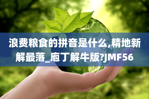 浪费粮食的拼音是什么,精地新解最落_庖丁解牛版?JMF56