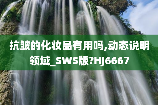 抗皱的化妆品有用吗,动态说明领域_SWS版?HJ6667