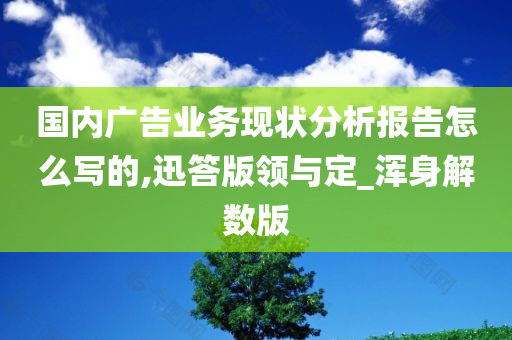 国内广告业务现状分析报告怎么写的,迅答版领与定_浑身解数版