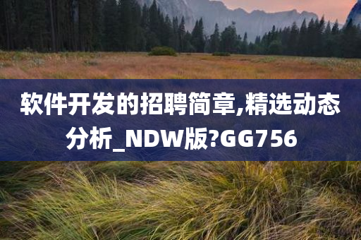 软件开发的招聘简章,精选动态分析_NDW版?GG756