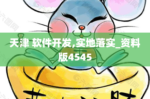 天津 软件开发,实地落实_资料版4545