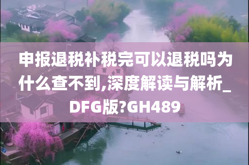 申报退税补税完可以退税吗为什么查不到,深度解读与解析_DFG版?GH489