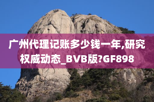 广州代理记账多少钱一年,研究权威动态_BVB版?GF898