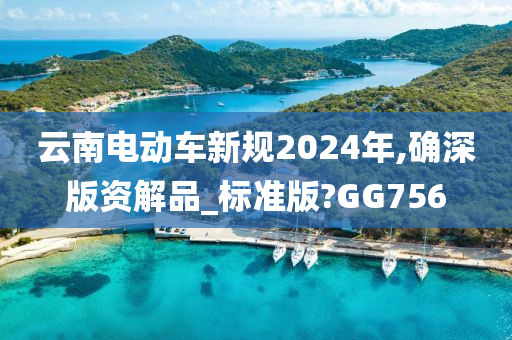 云南电动车新规2024年,确深版资解品_标准版?GG756